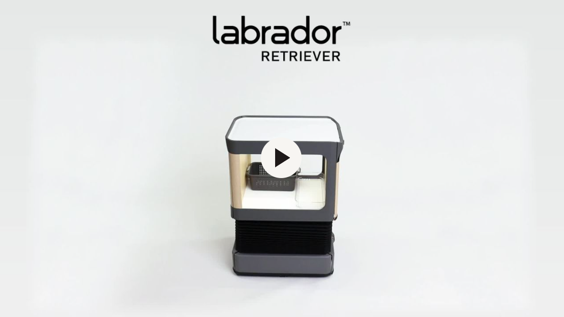 The Labrador™ Retriever is designed to lighten the load for millions of Americans who have chronic pain, injury or other health issues that impact their daily activities. Courtesy Labrador Systems.